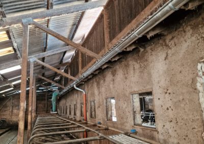 Referenz: Dachrinnen Überholung